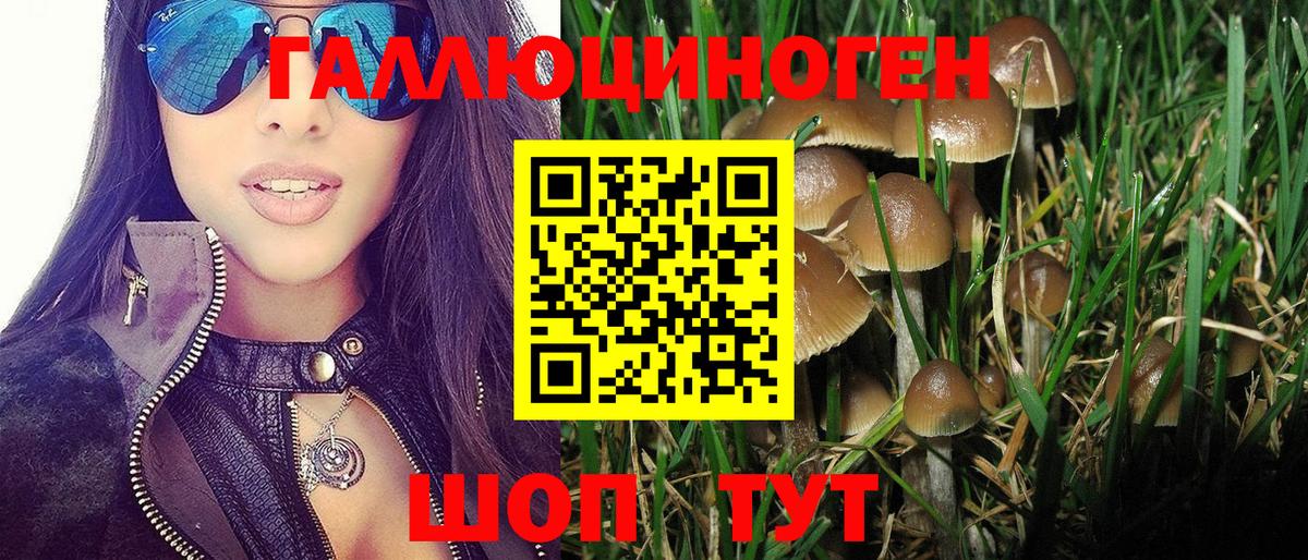 Галлюциногенные грибы Psilocybine cubensis  Вход с VPN  где продают наркотики  Сальск 