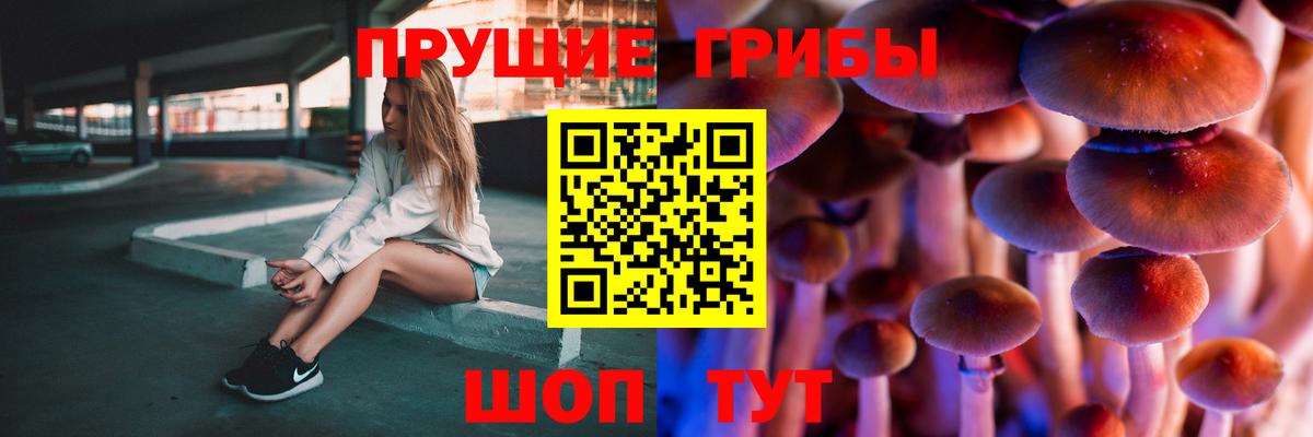 Галлюциногенные грибы ЛСД Сальск